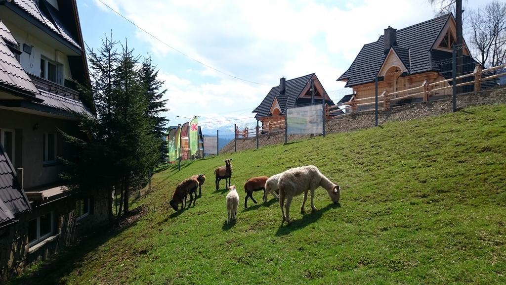 Willa Skorusyna Bed and Breakfast Gliczarów Eksteriør billede